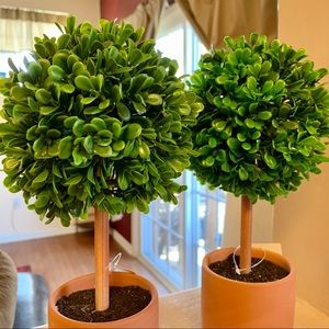 Target Topiary Trees (bundle)